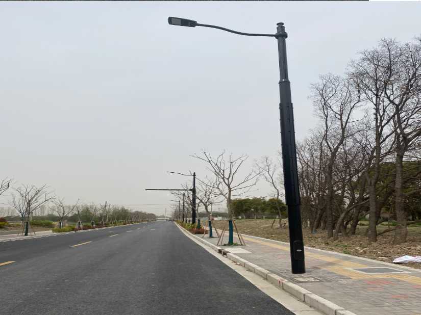 阿坝县上海综合杆 太阳能路灯工程